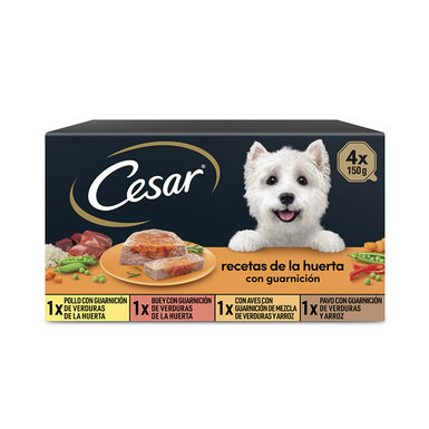 Cesar Recetas de la huerta Tarrina en Paté y Gelatina para Perros - Multipack